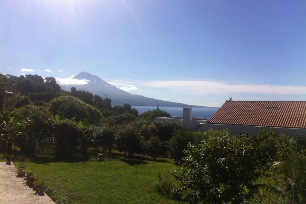 Summer House With Bbq And Garden Horta  Exteriör bild