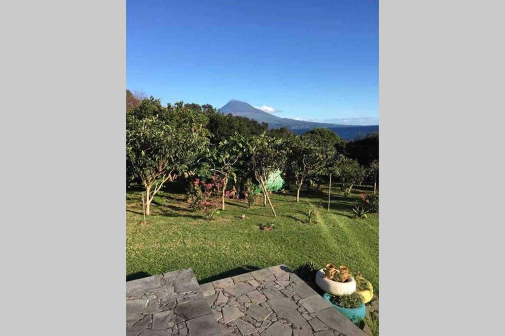 Summer House With Bbq And Garden Horta  Exteriör bild